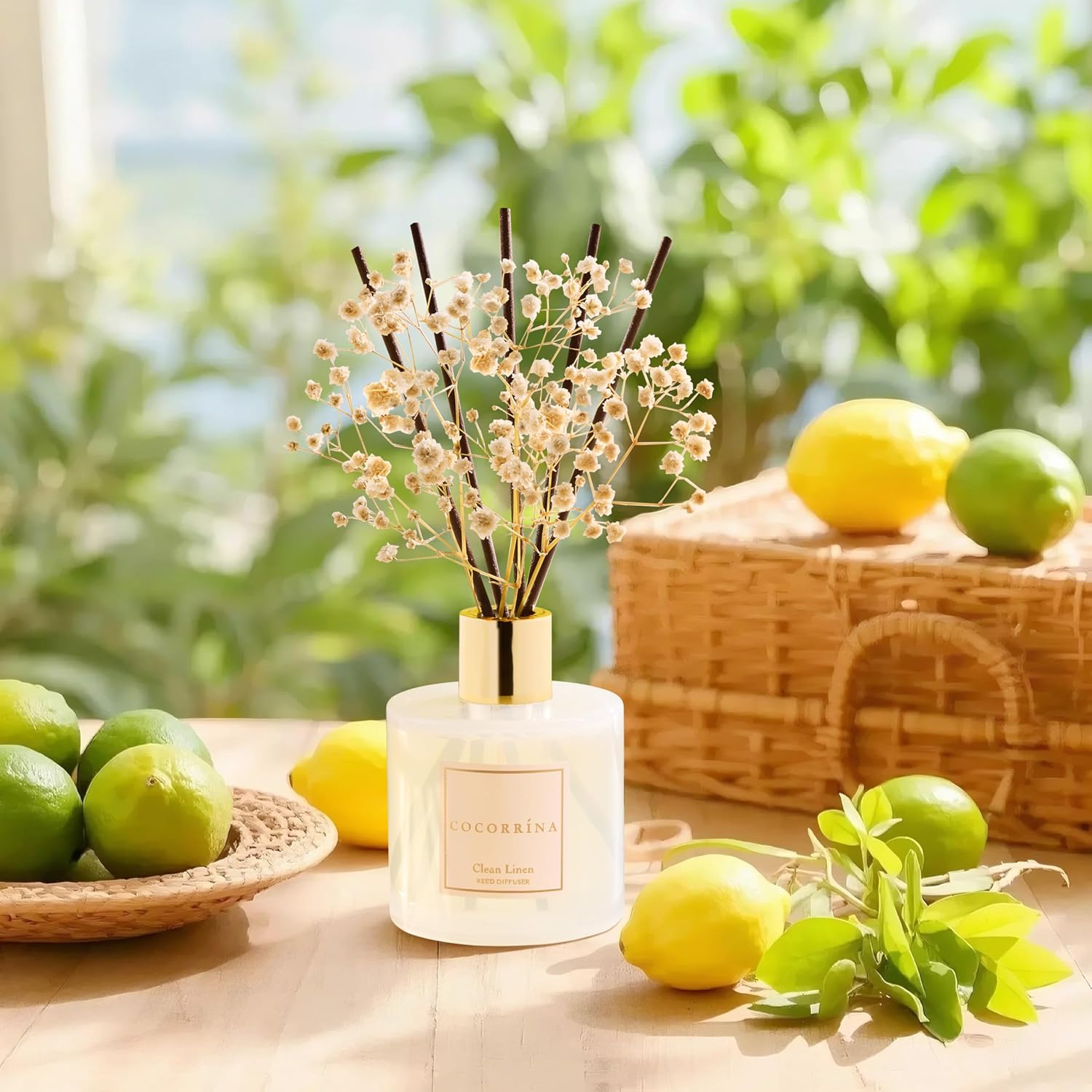 Reed Diffuser set